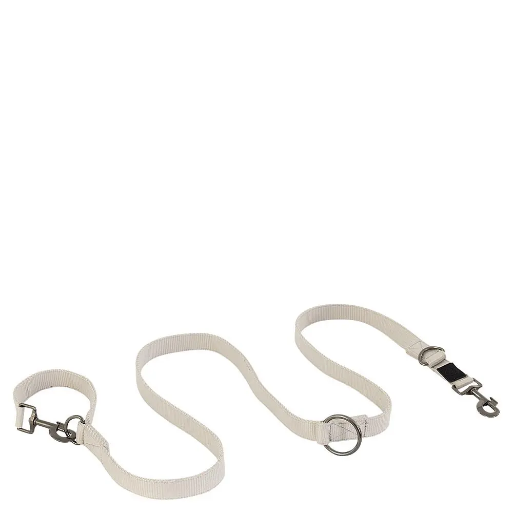 Meilleurs prix pour Laisse pour chien BR Equitation