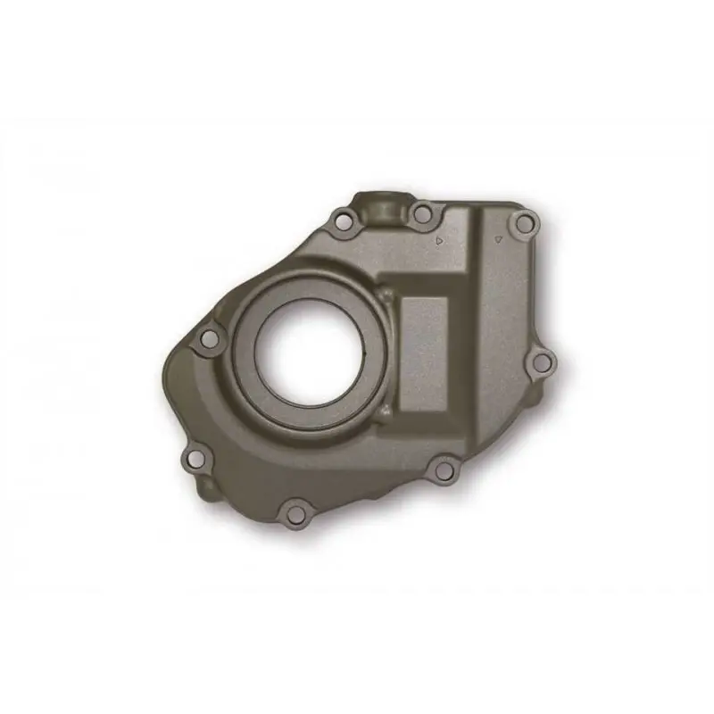 Rechter ontstekingshuis Brazoline Honda Cb 600 F 98/04 - Cb 900 F 02/06
