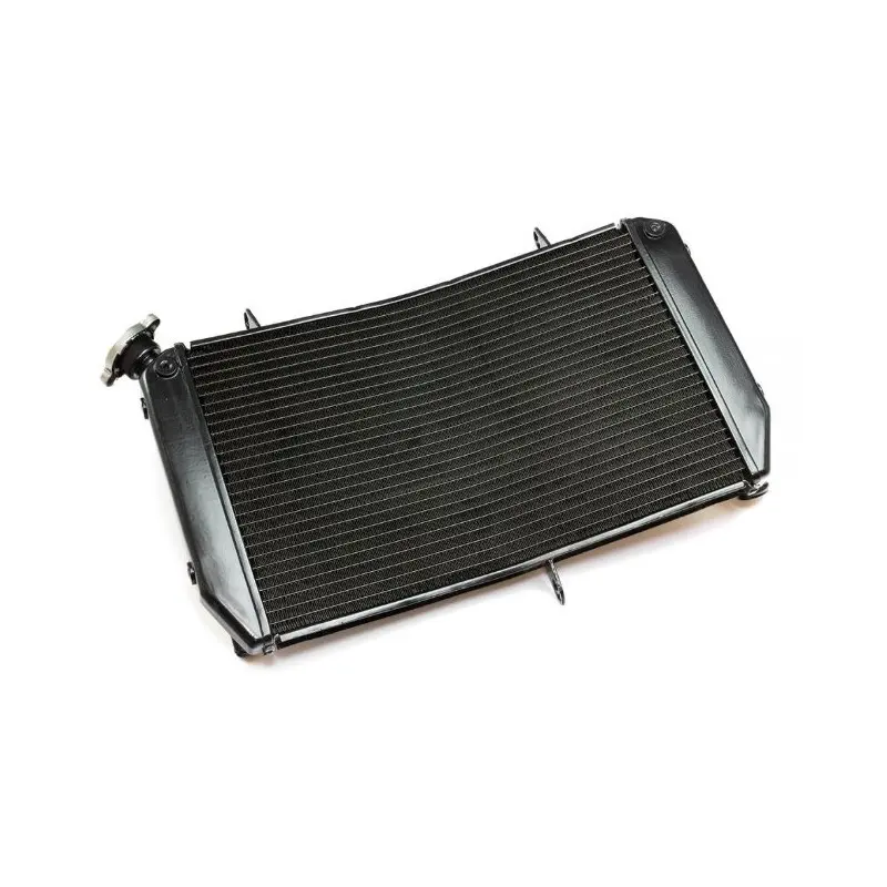 Wasserkühler Brazoline Yamaha FZ1 N/S - FZ8