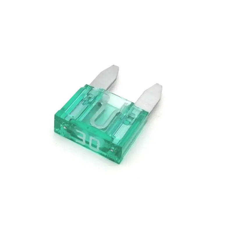 Mini-Sicherungen Brazoline (x10)