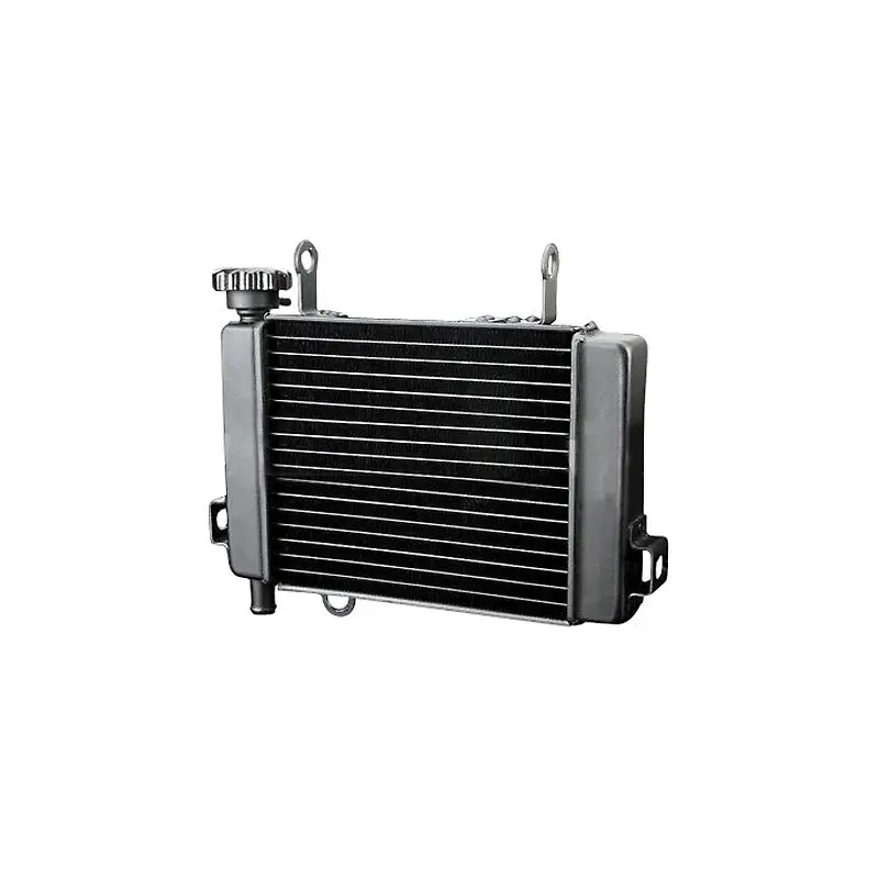 Wasserkühler Brazoline Honda CBR 125 (04-10)