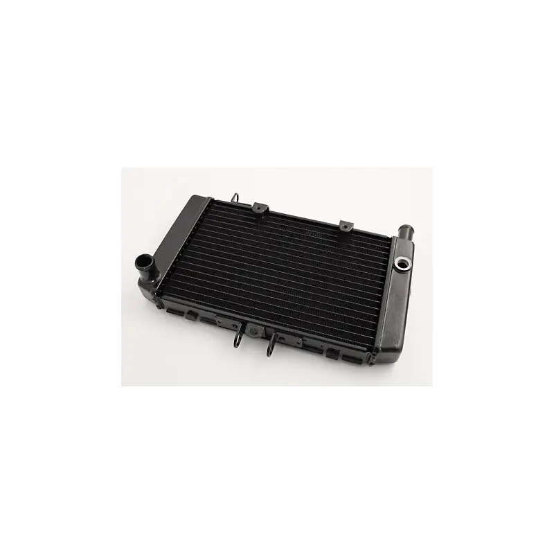 Wasserkühler Brazoline Honda CB 500 93/04