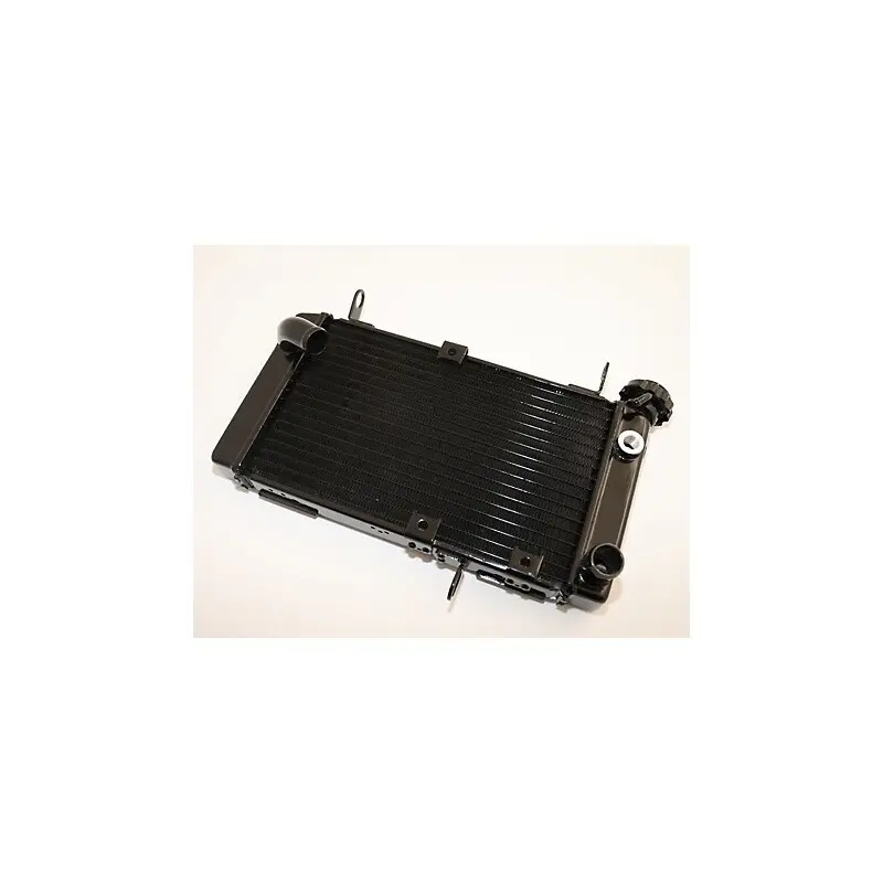 Wasserkühler Brazoline Suzuki SV 650 98/02