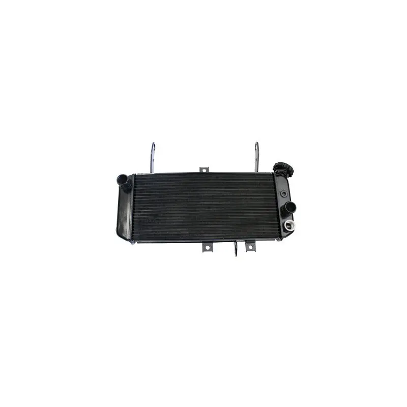 Wasserkühler Motorrad Brazoline Suzuki SV 650 2003-2007