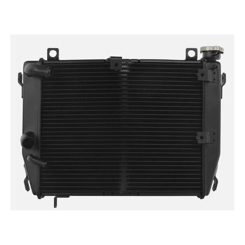 Brazoline Noir Radiatore Per Moto Aprilia Rs 660 (2021-2023