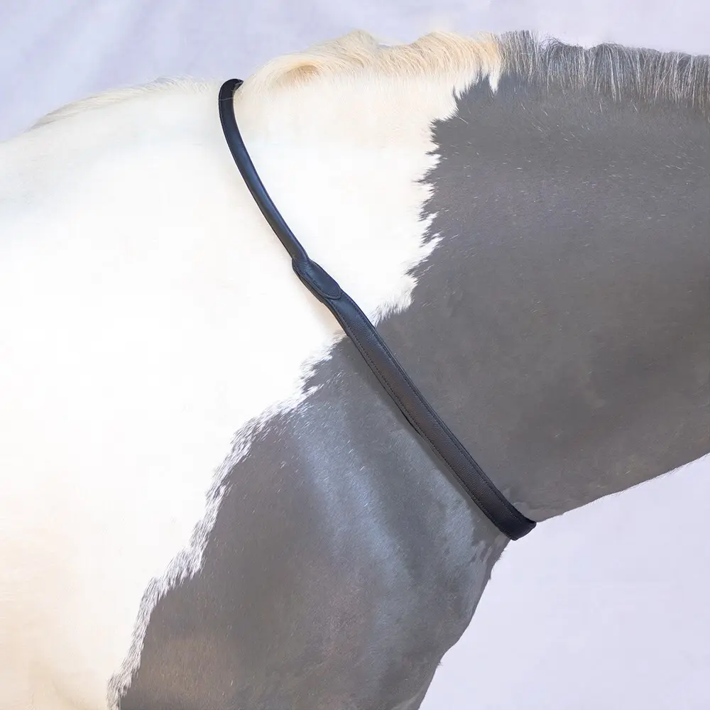 Corde au cou pour poney Bridlery Trust