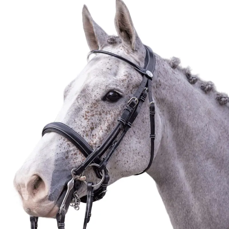 Bride équitation de dressage Jump'In week
