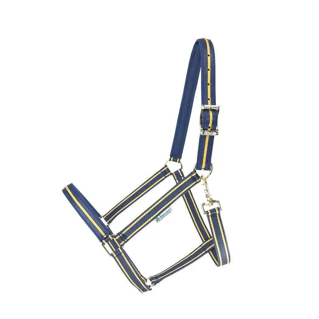 Comparer les prix de Licol pour cheval Bucas Dublin XL