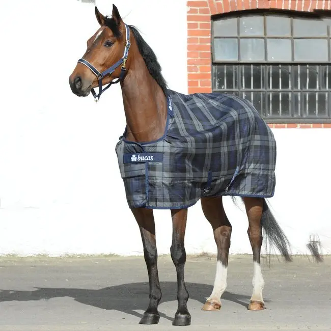 Couverture d'écurie pour cheval sans couvre-cou Bucas Celtic