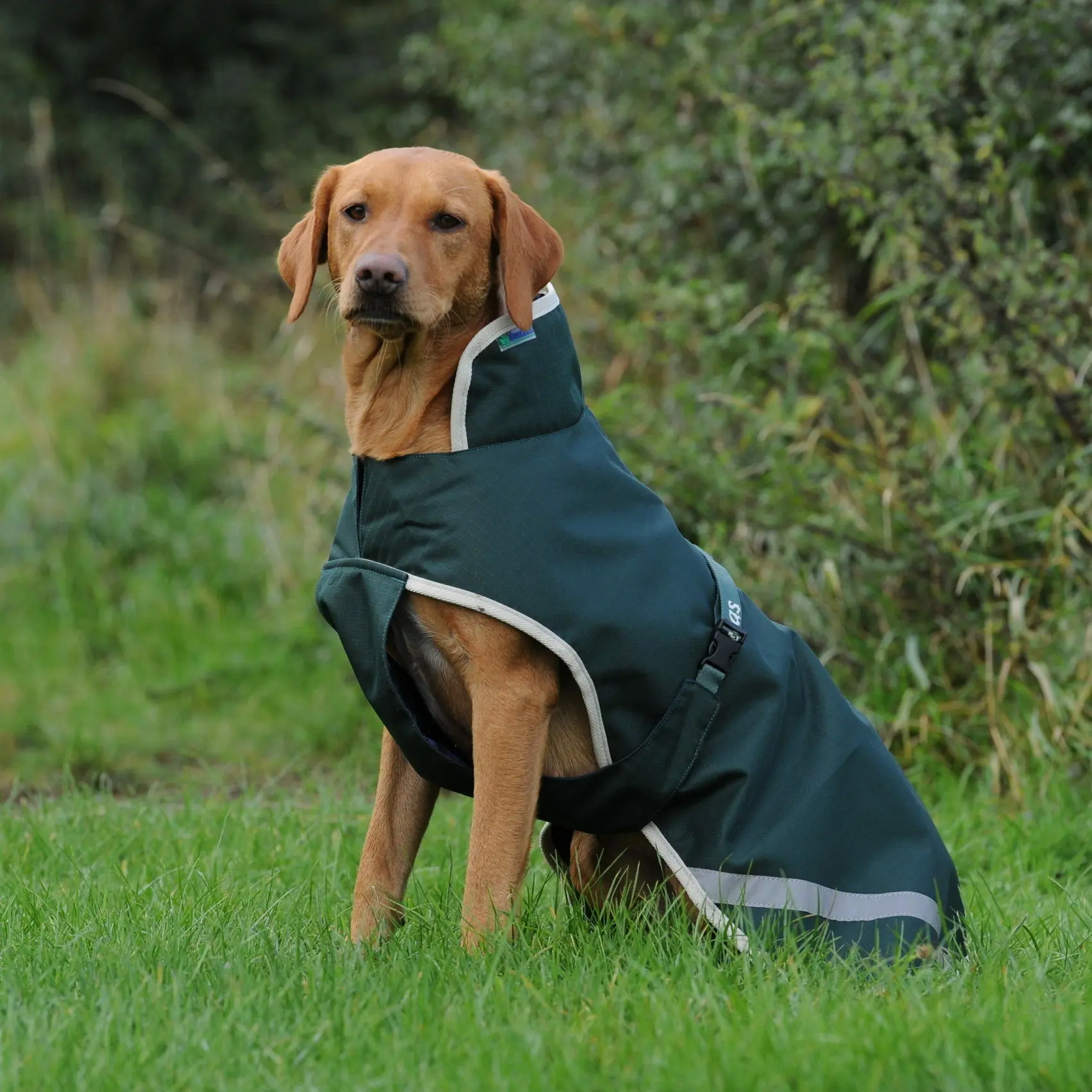 Meilleurs prix pour Manteau pour chien Bucas Greenline