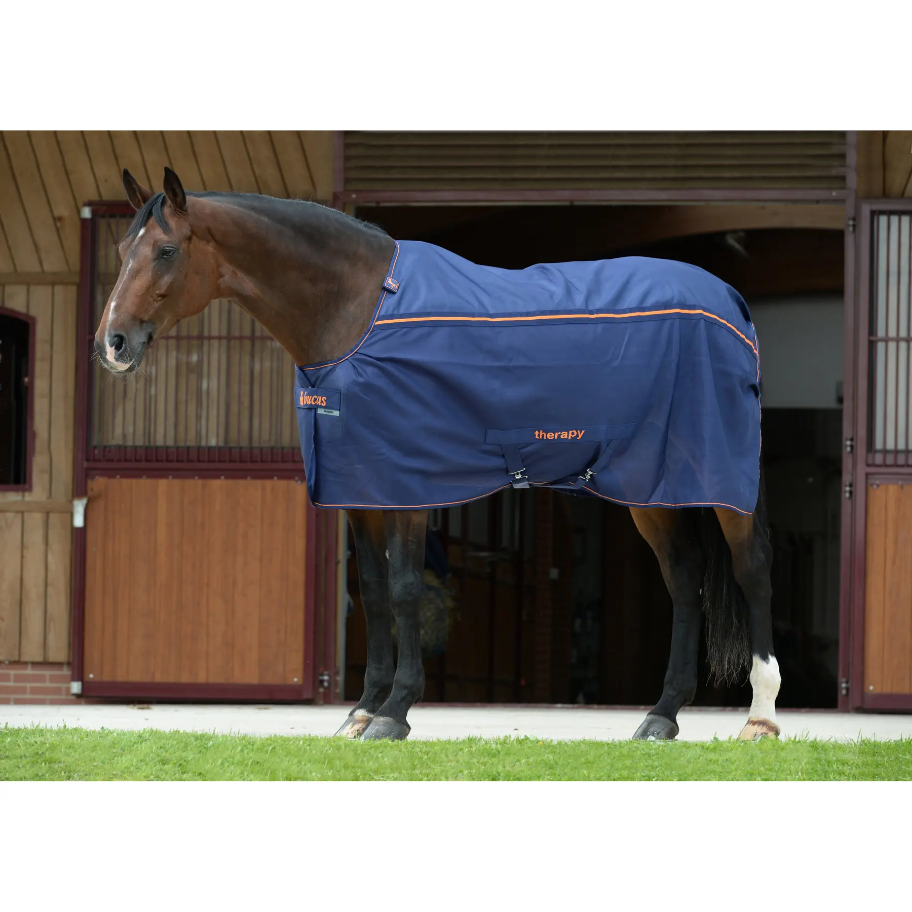 Meilleurs prix pour Couverture pour cheval Bucas Therapy Mesh Cooler