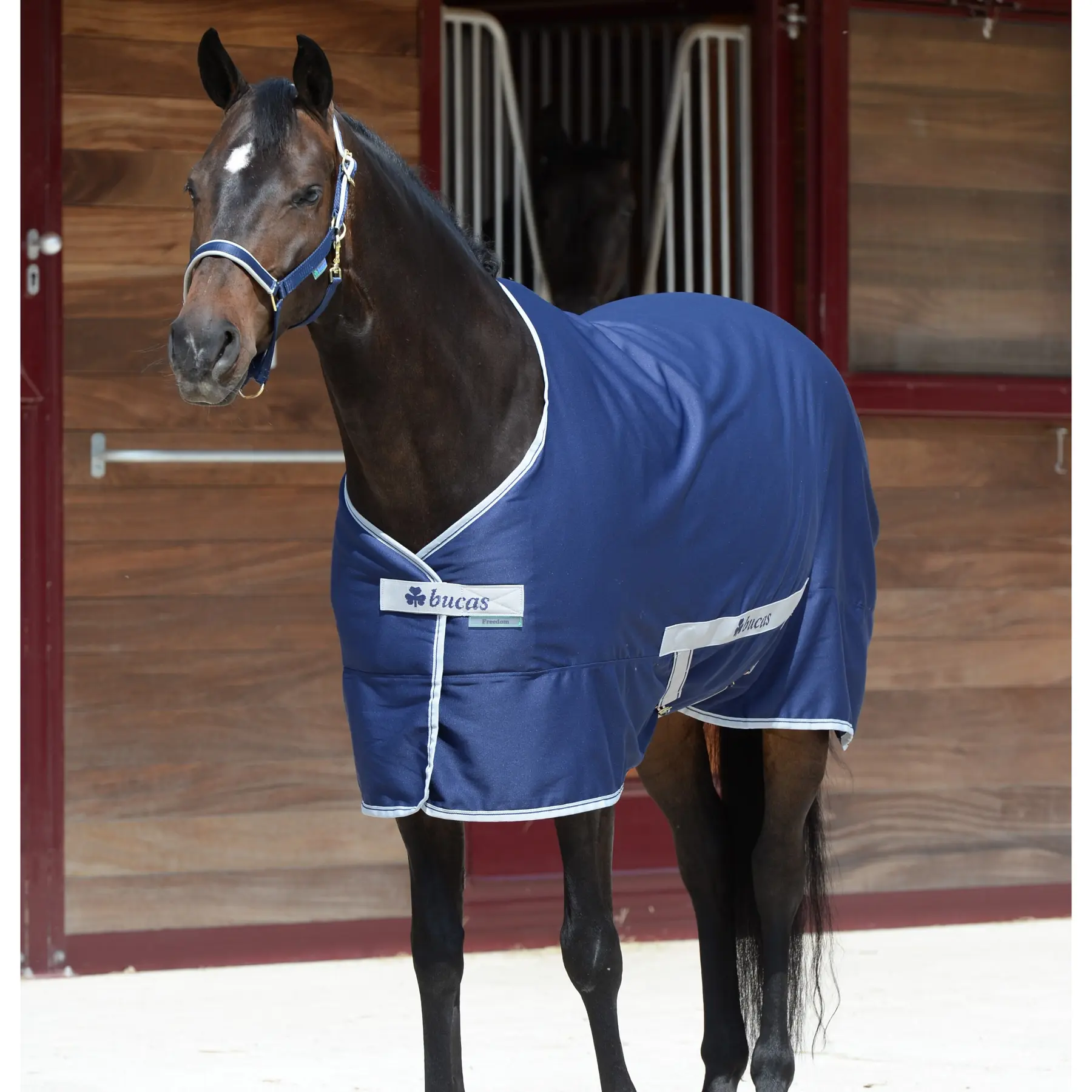 Meilleurs prix pour Couverture d'extérieur pour cheval Bucas Freedom Twill Sheet