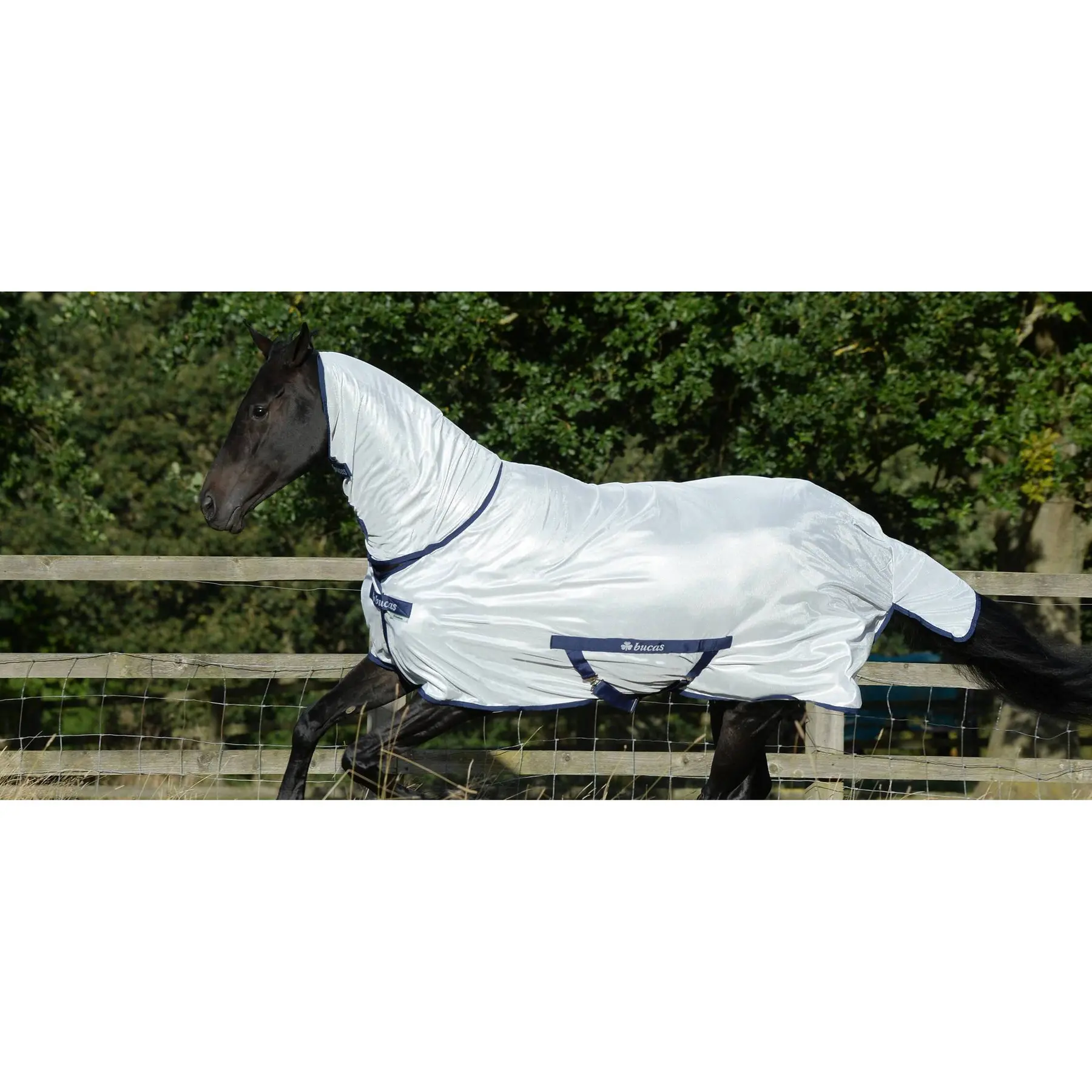 Comparer les prix de Couverture d'extérieur pour cheval imperméable Bucas Freedom Fly