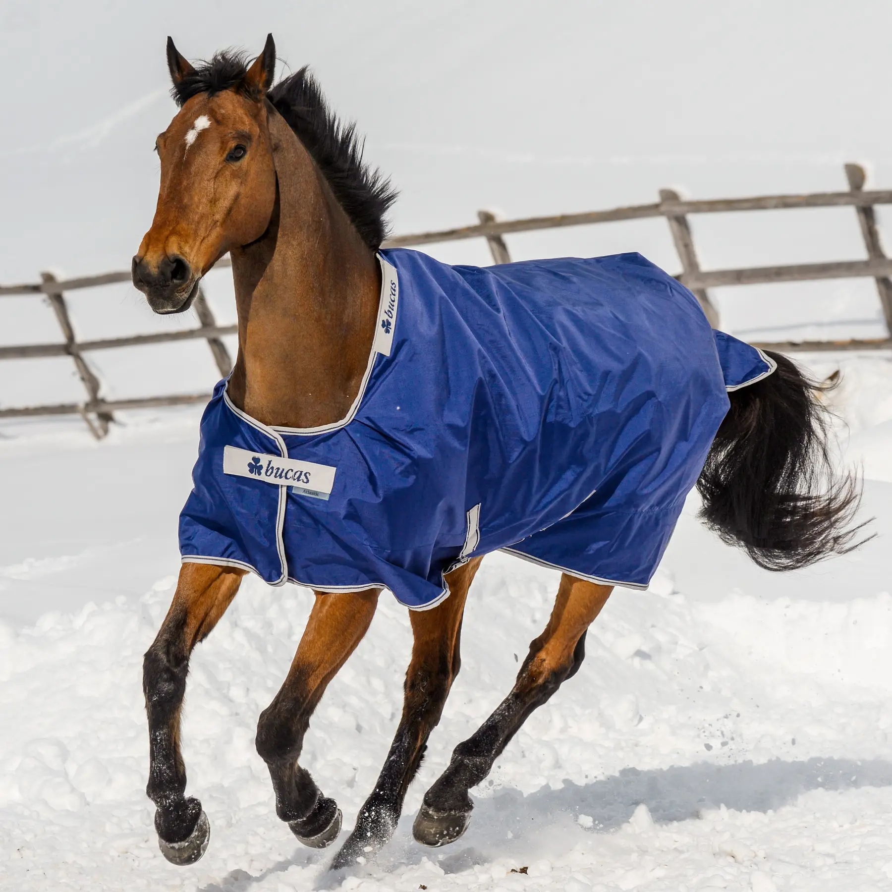 Bucas Bleu Neck Rug Atlantic Combi 50G