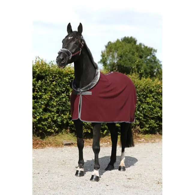 Meilleurs prix pour Couverture polaire pour cheval Bucas Show-Line 400g