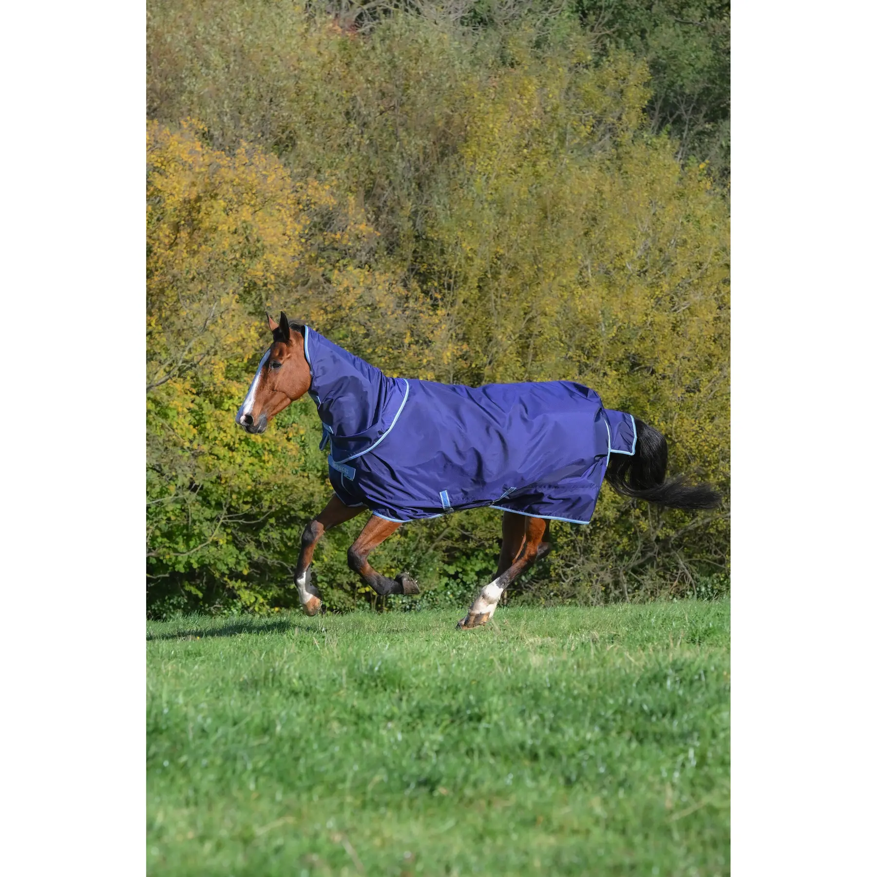 Meilleurs prix pour Couverture d'extérieur pour cheval avec cache cou Bucas Atlantic Exclusive