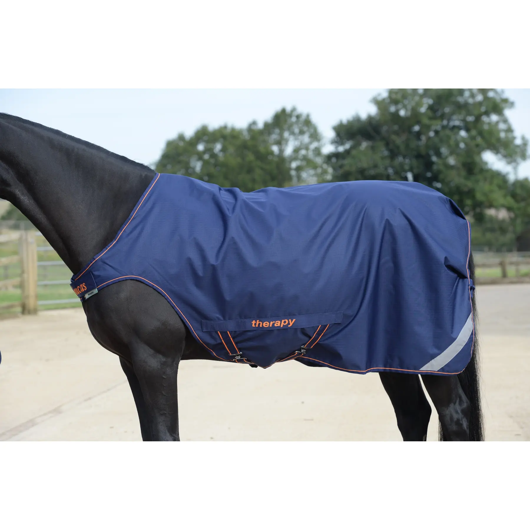 Comparer les prix de Couverture d'extérieur pour cheval Bucas Therapy Walker 125g