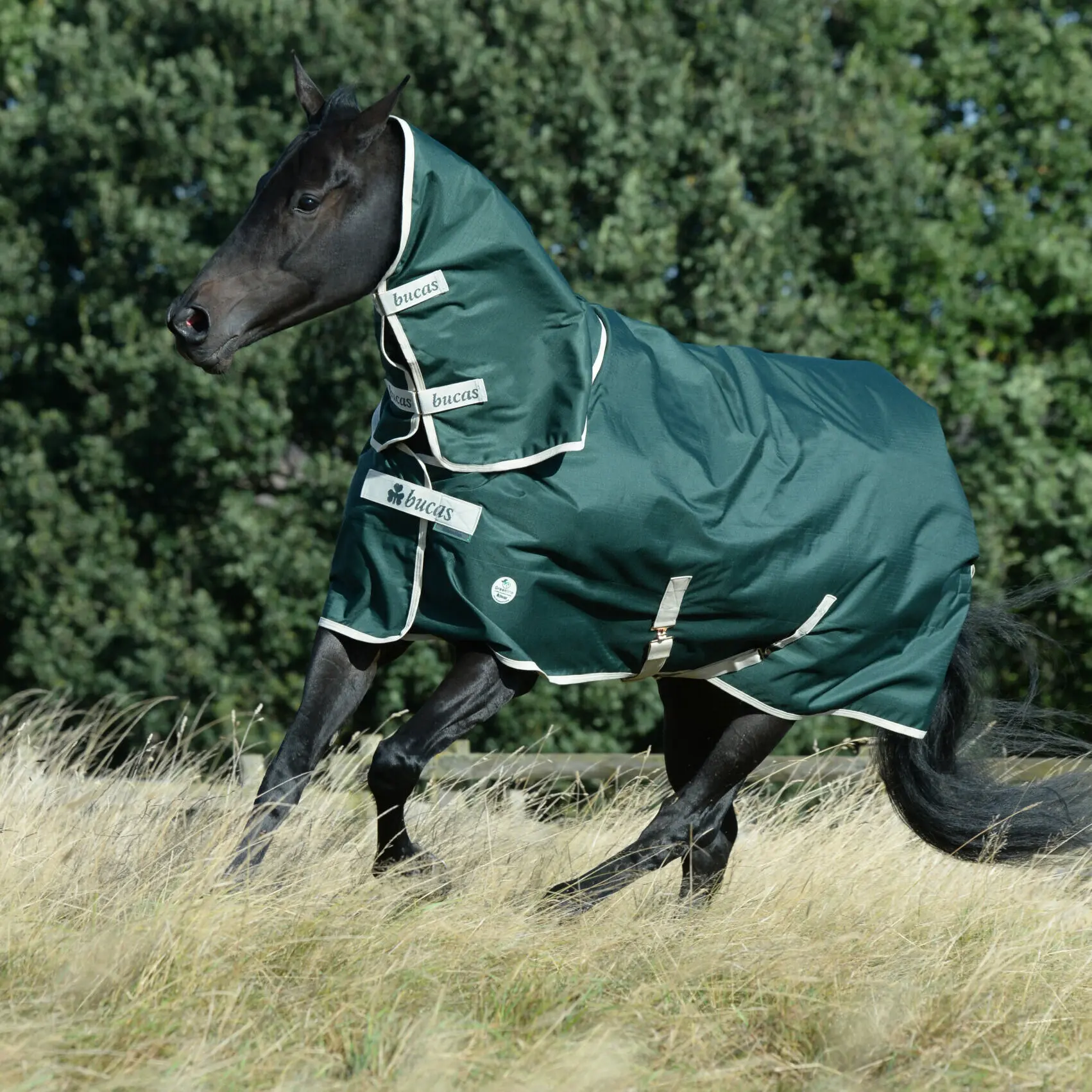 Comparer les prix de Couvre-cou pour cheval Bucas Greenline