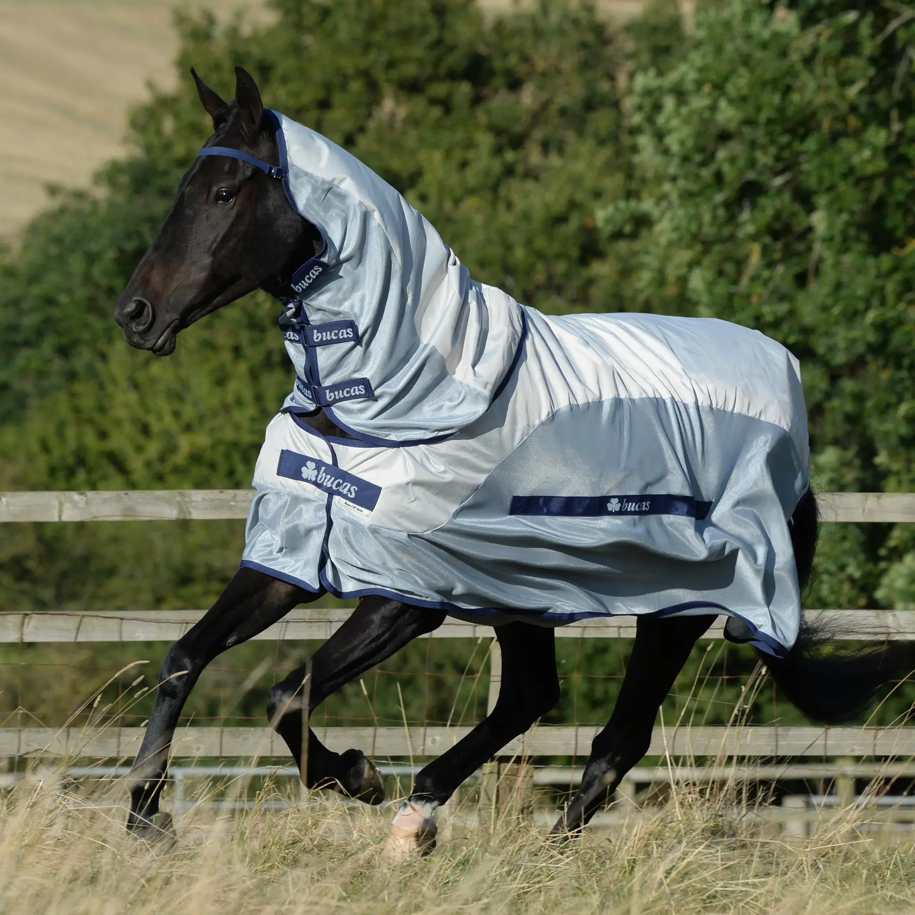 Comparer les prix de Couverture anti-mouches pour cheval imperméable Bucas Buzz-Off Rain