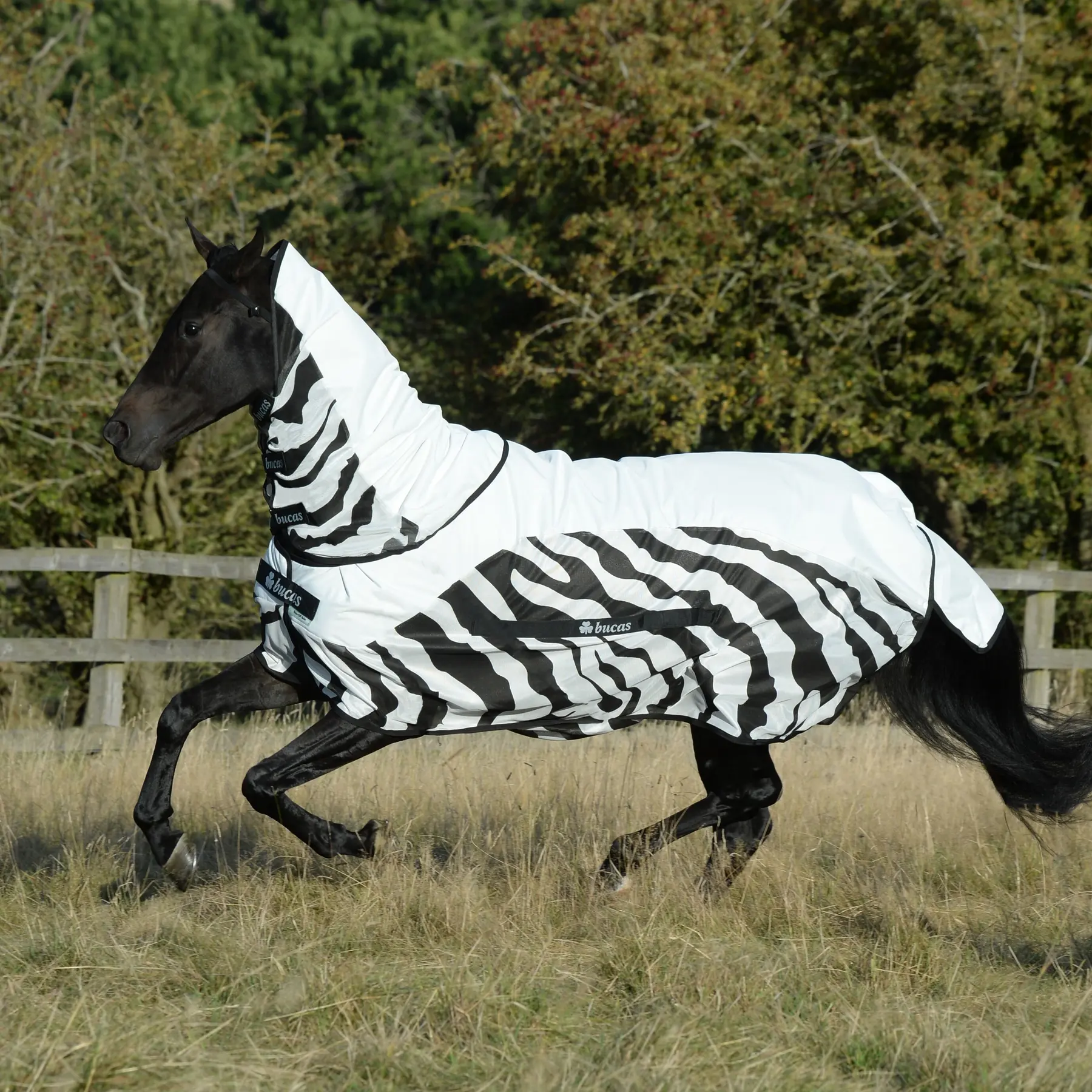 Meilleurs prix pour Couverture anti-mouches pour cheval imperméable Bucas Rain Zebra
