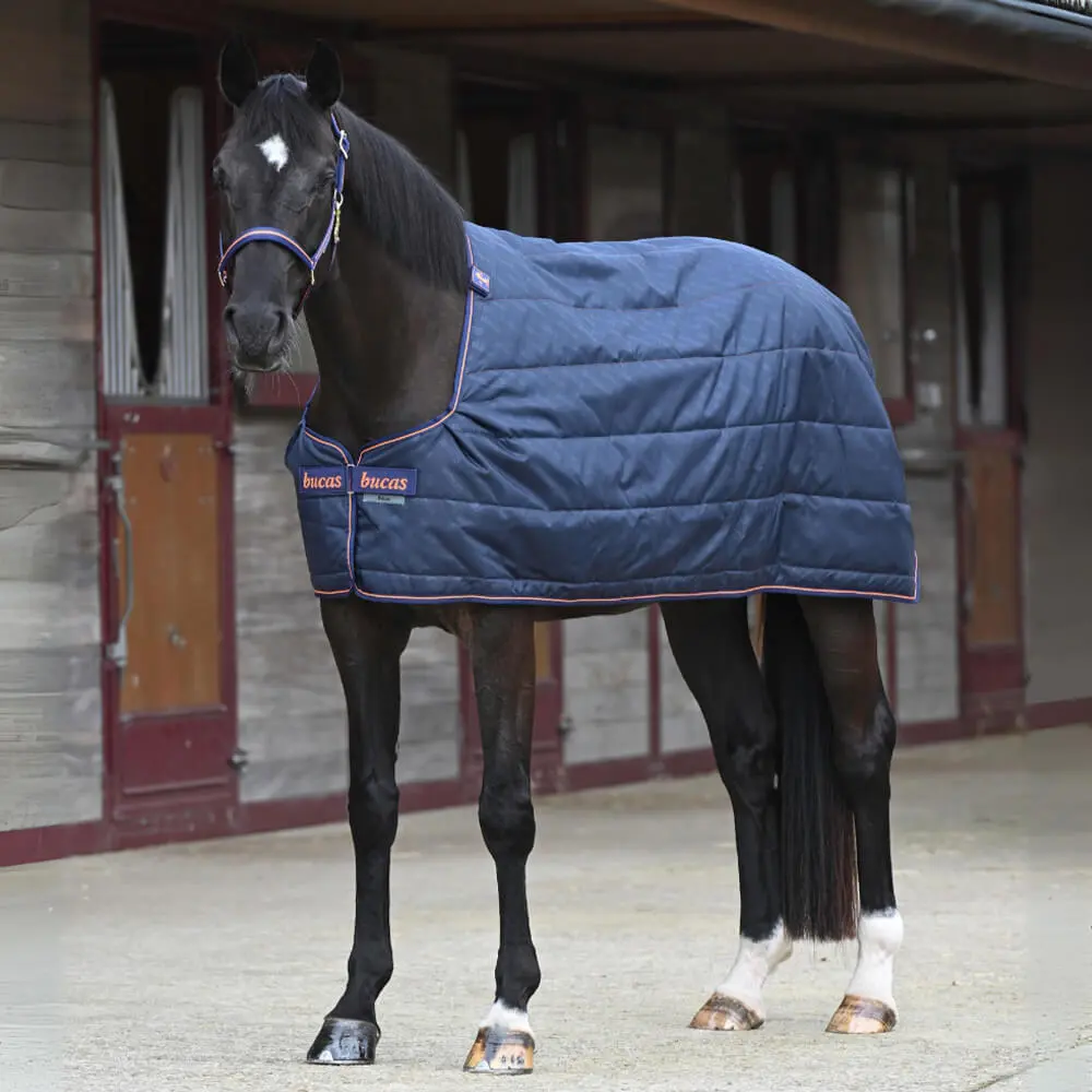 Comparer les prix de Couverture d'extérieur pour cheval Bucas Therapy Liner 150g