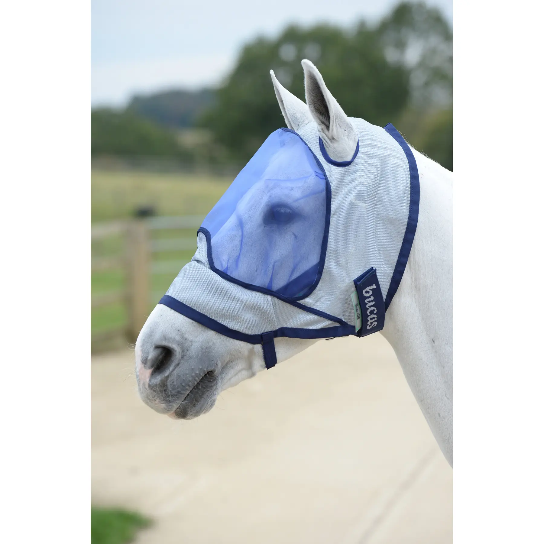 Comparer les prix de Masque anti-mouches pour cheval Bucas Buzz-Off Deluxe