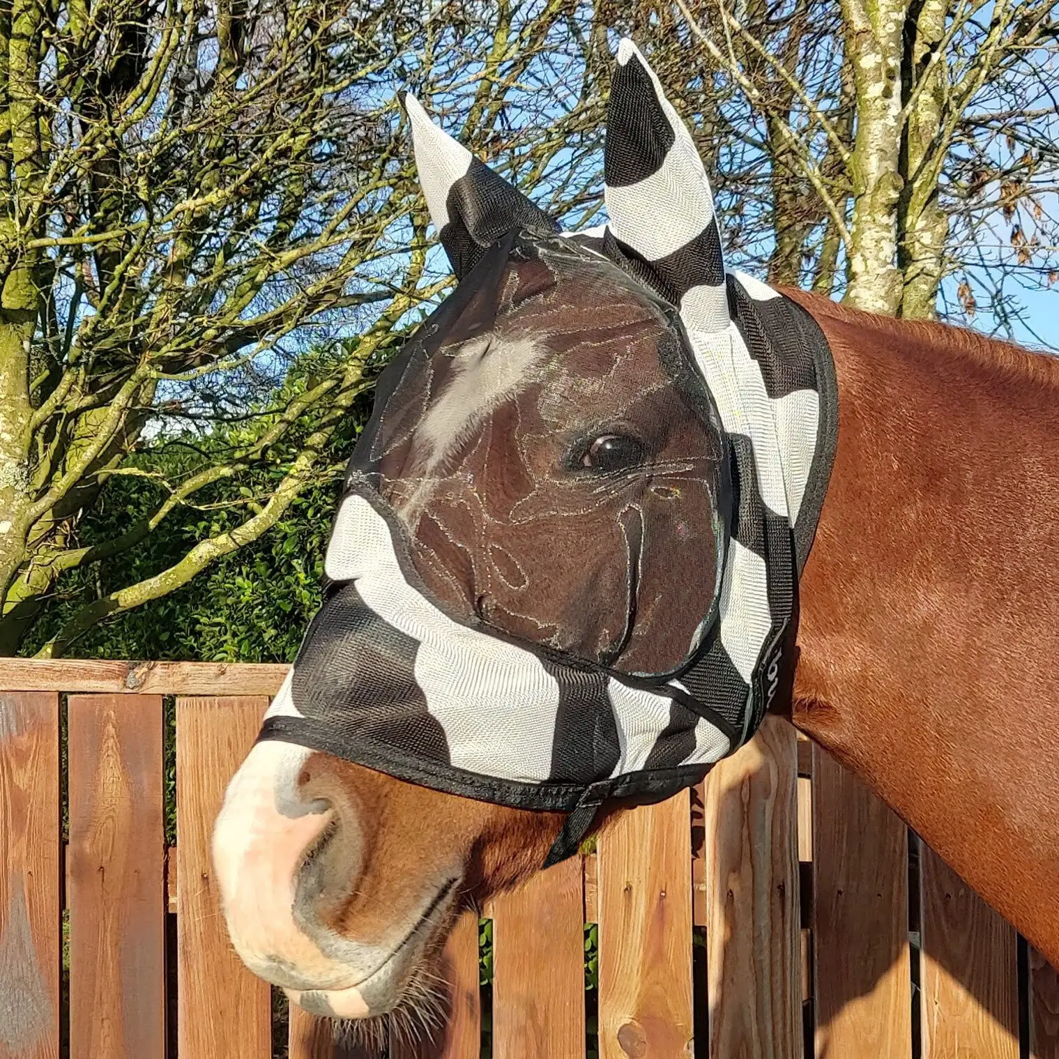 Bucas Blanc Anti-Fly Mask Buzz-Off Zebra Deluxe