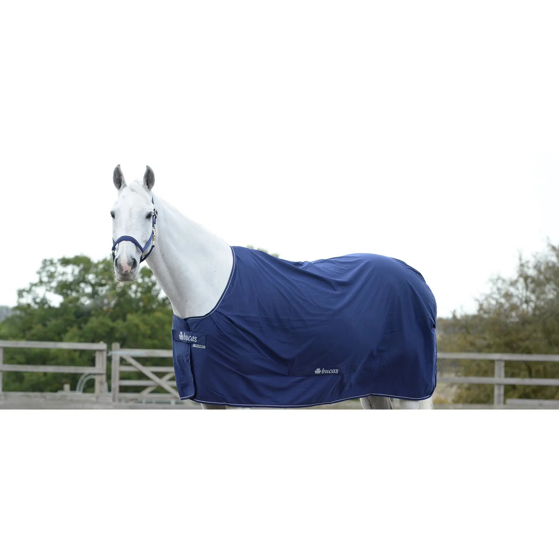 Comparer les prix de Couverture pour cheval Bucas Power Cooler