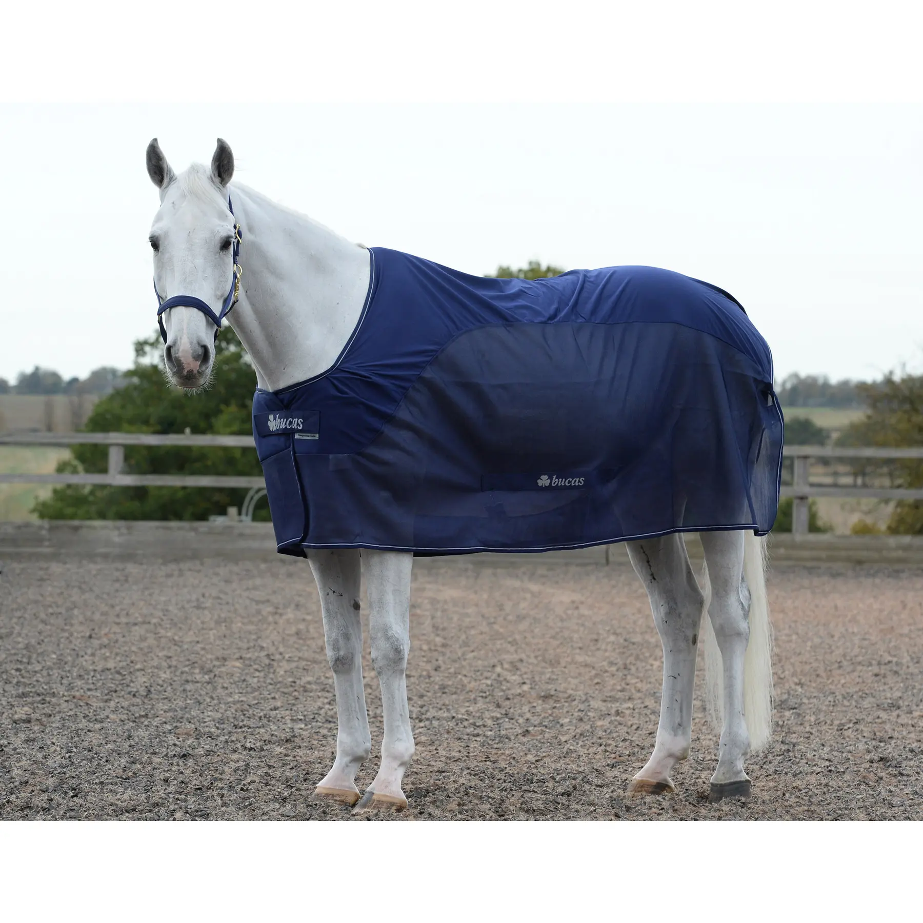 Comparer les prix de Couverture séchante pour cheval Bucas Competition Cooler