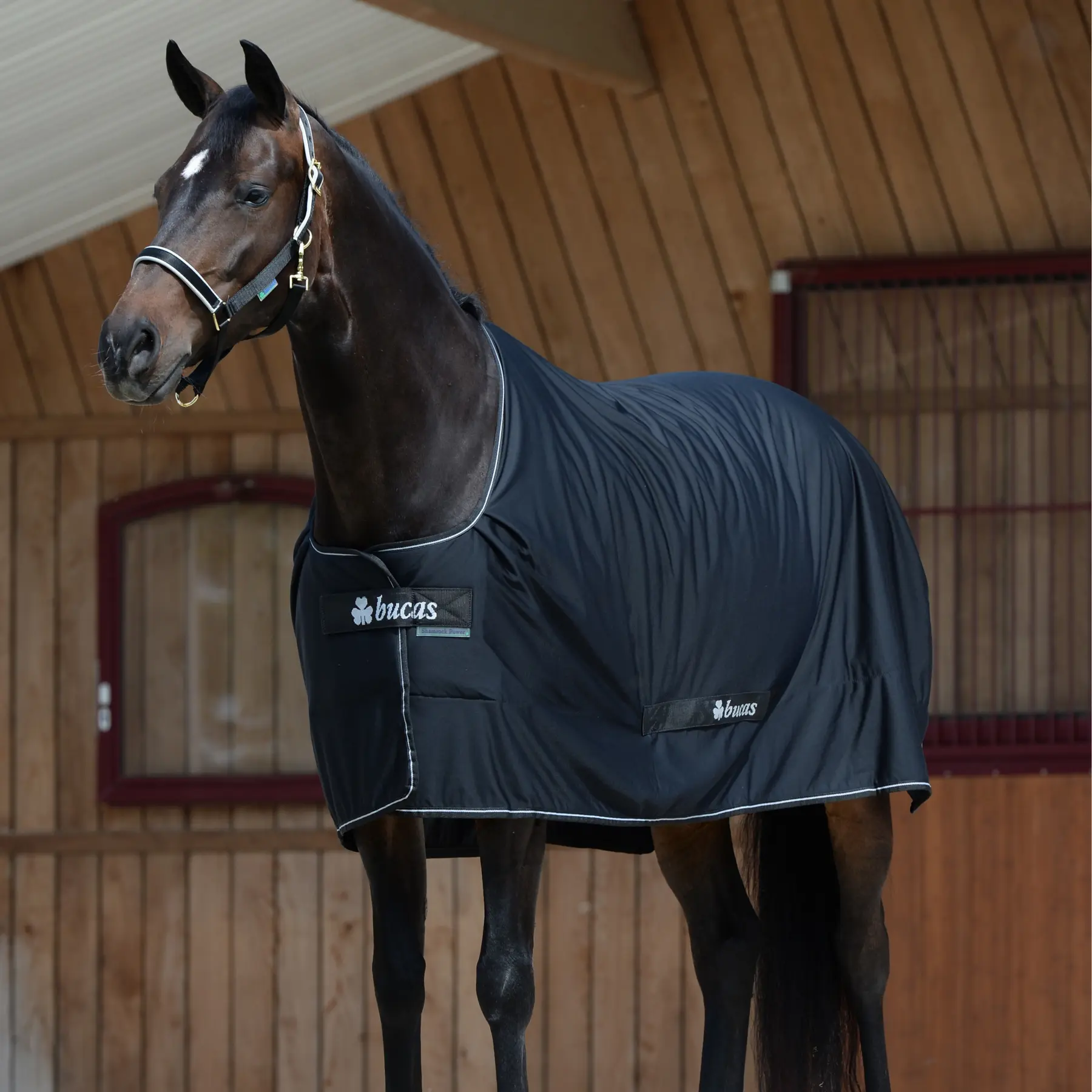 Comparer les prix de Couverture d'extérieur pour cheval Bucas Shamrock Power