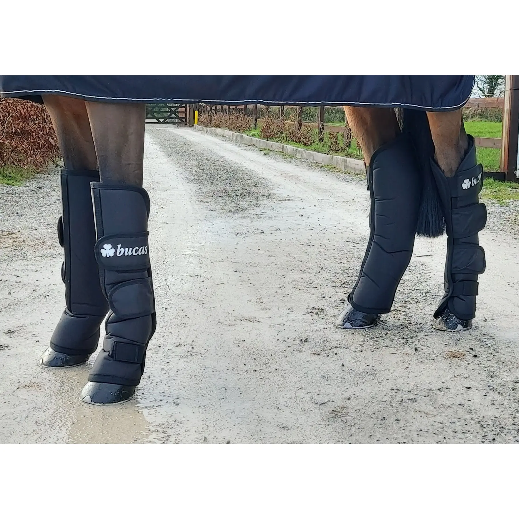 Meilleurs prix pour Stable boots pour cheval Bucas 2020