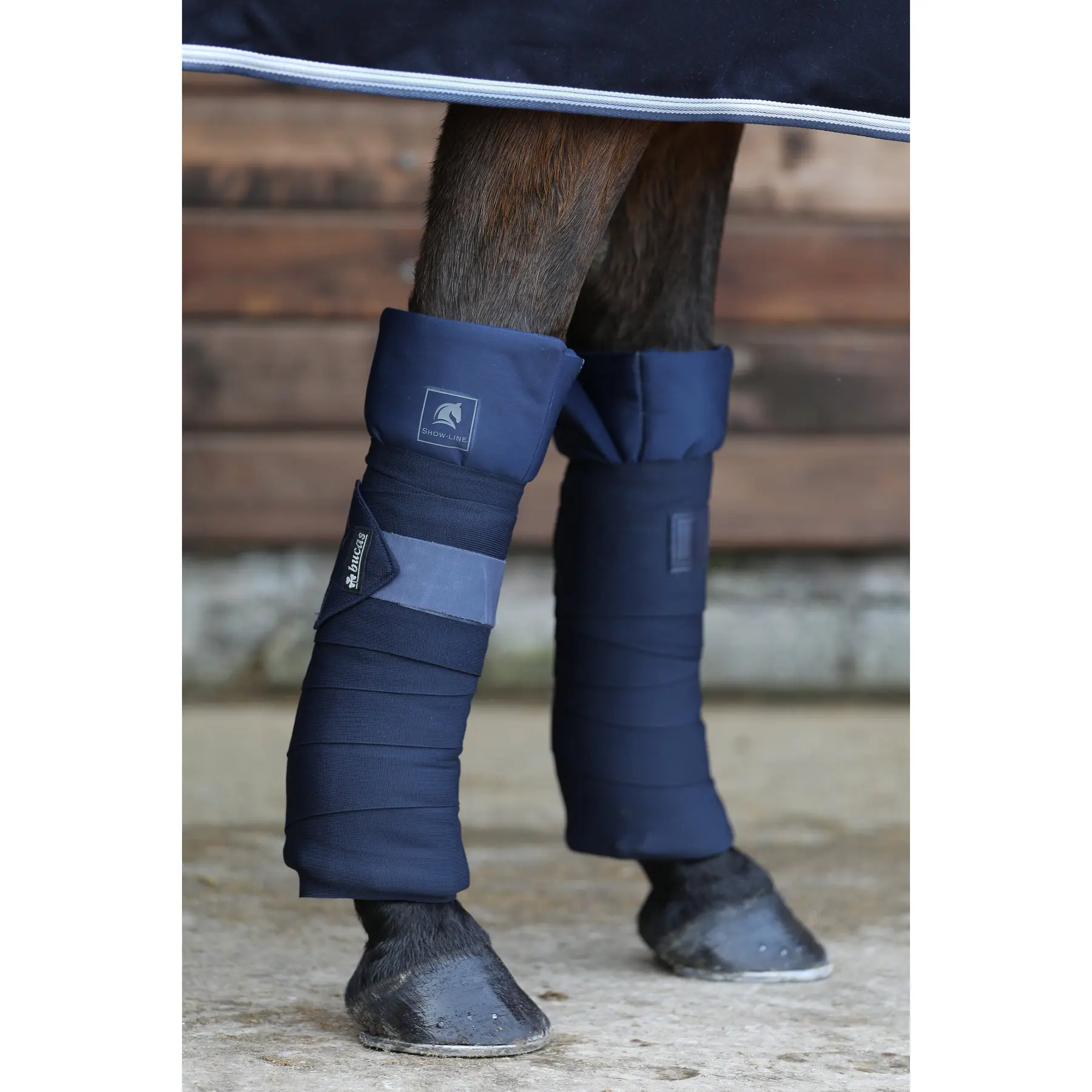 Meilleurs prix pour Bandes de travail pour cheval Bucas Show-Line Wrap (x4)
