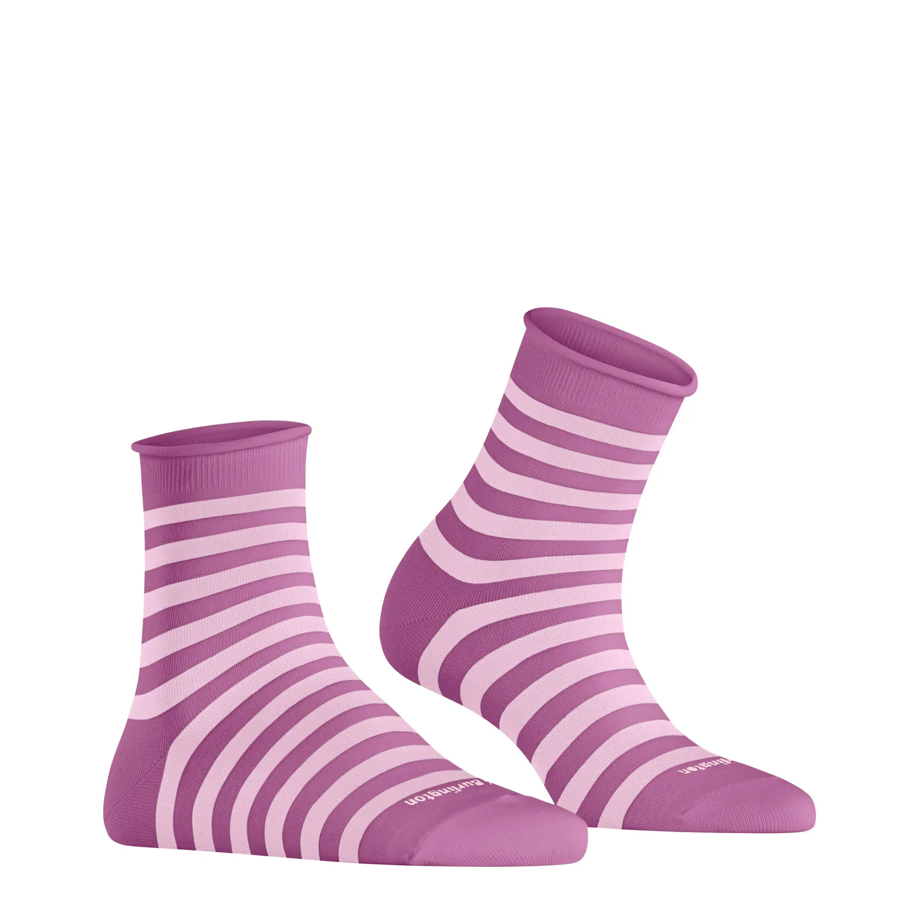 4049508430366 - Kurze Socken für Damen Swansea