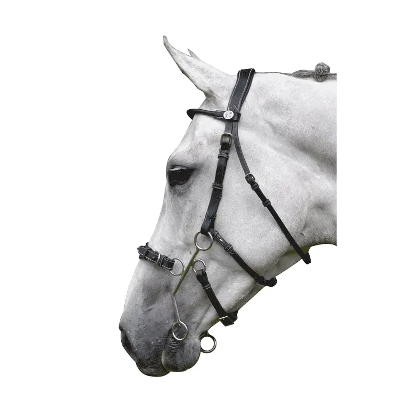 Bridon équitation muserolle combinée anatomique Jump'In Hackamore