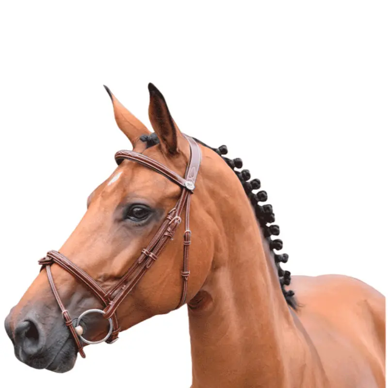 Bridon équitation muserolle combinée anatomique Jump'In Thursday