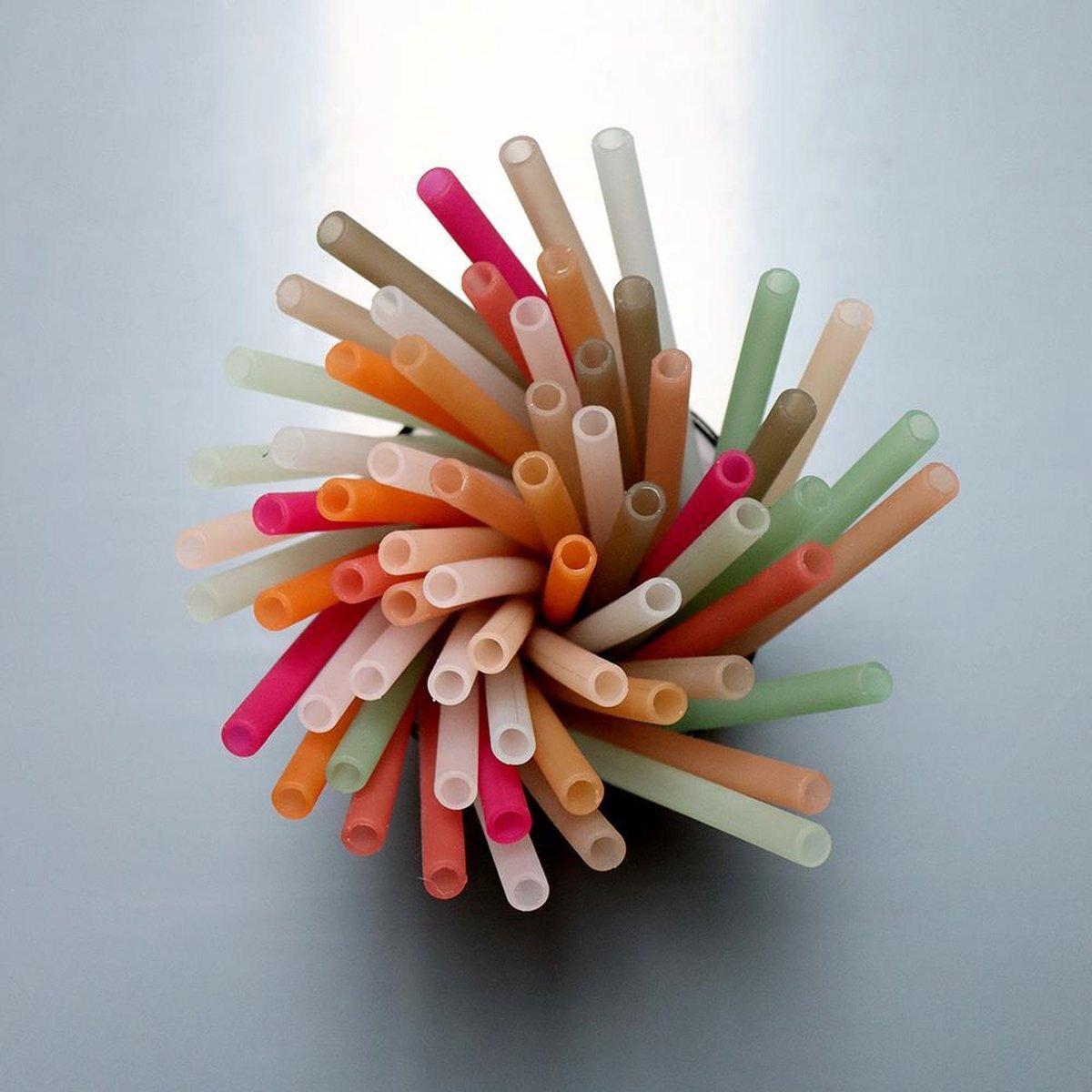 5714302000396 - Strohhalme (x6)