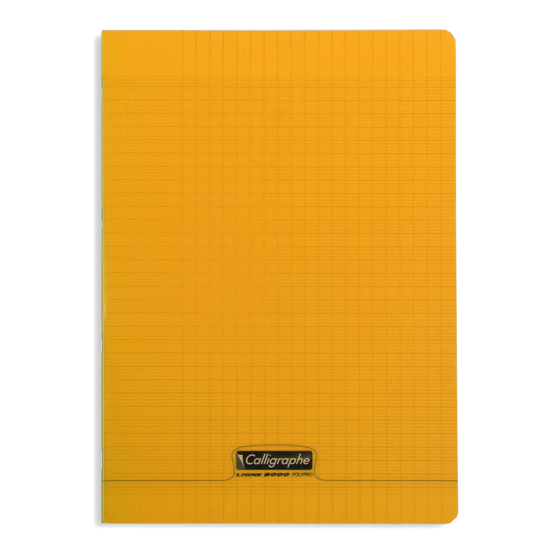 3210330181387 - Heft Piqué a4 96 Seiten groß kariert 8000 Polypro