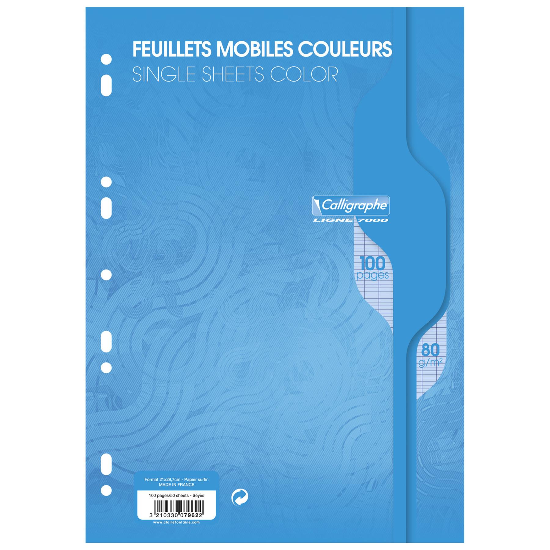 3210330079622 - Loseblattwerk in Folie a4 100 Seiten perforiert großkariert 7000