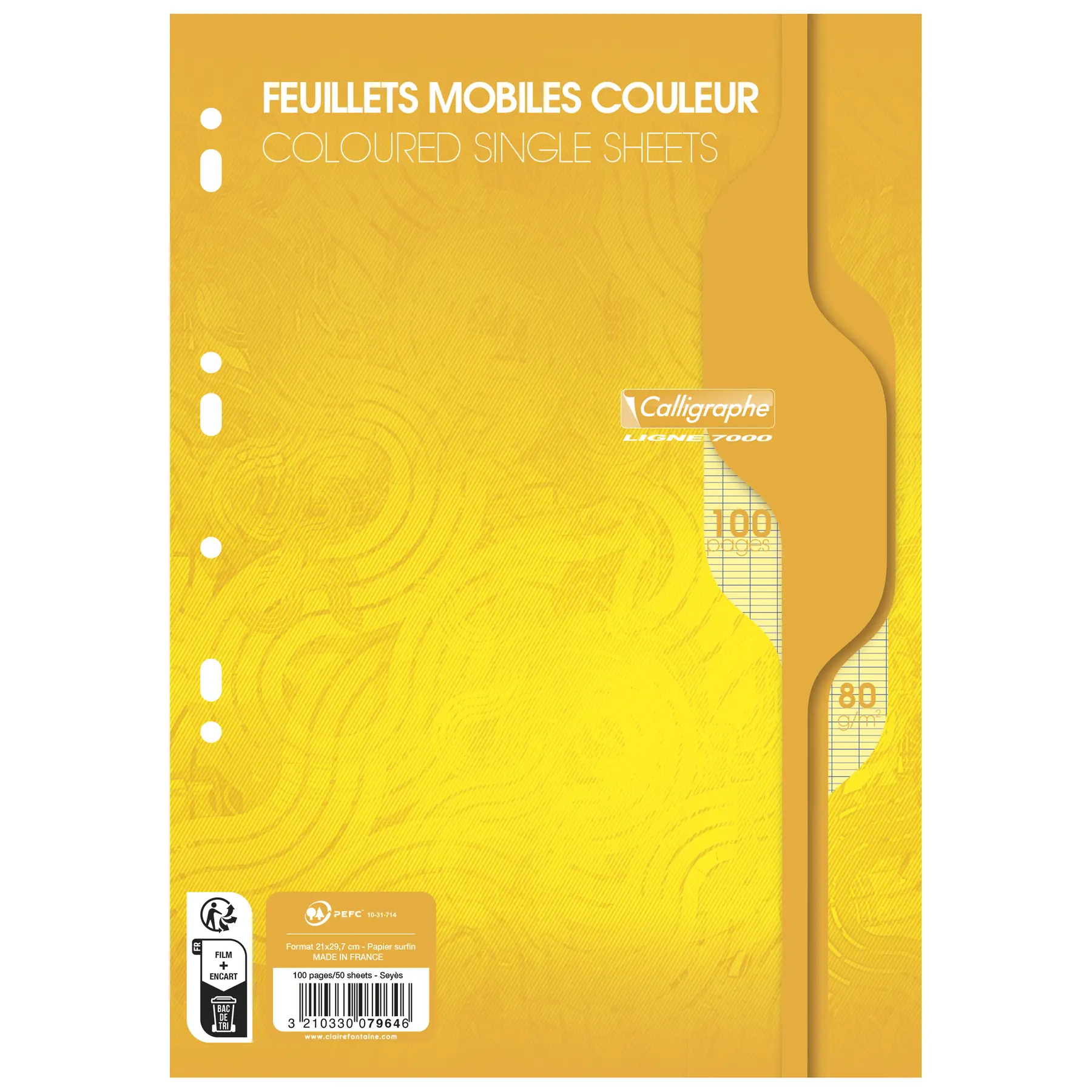 3210330079646 - Loseblattwerk in Folie a4 100 Seiten perforiert großkariert 7000