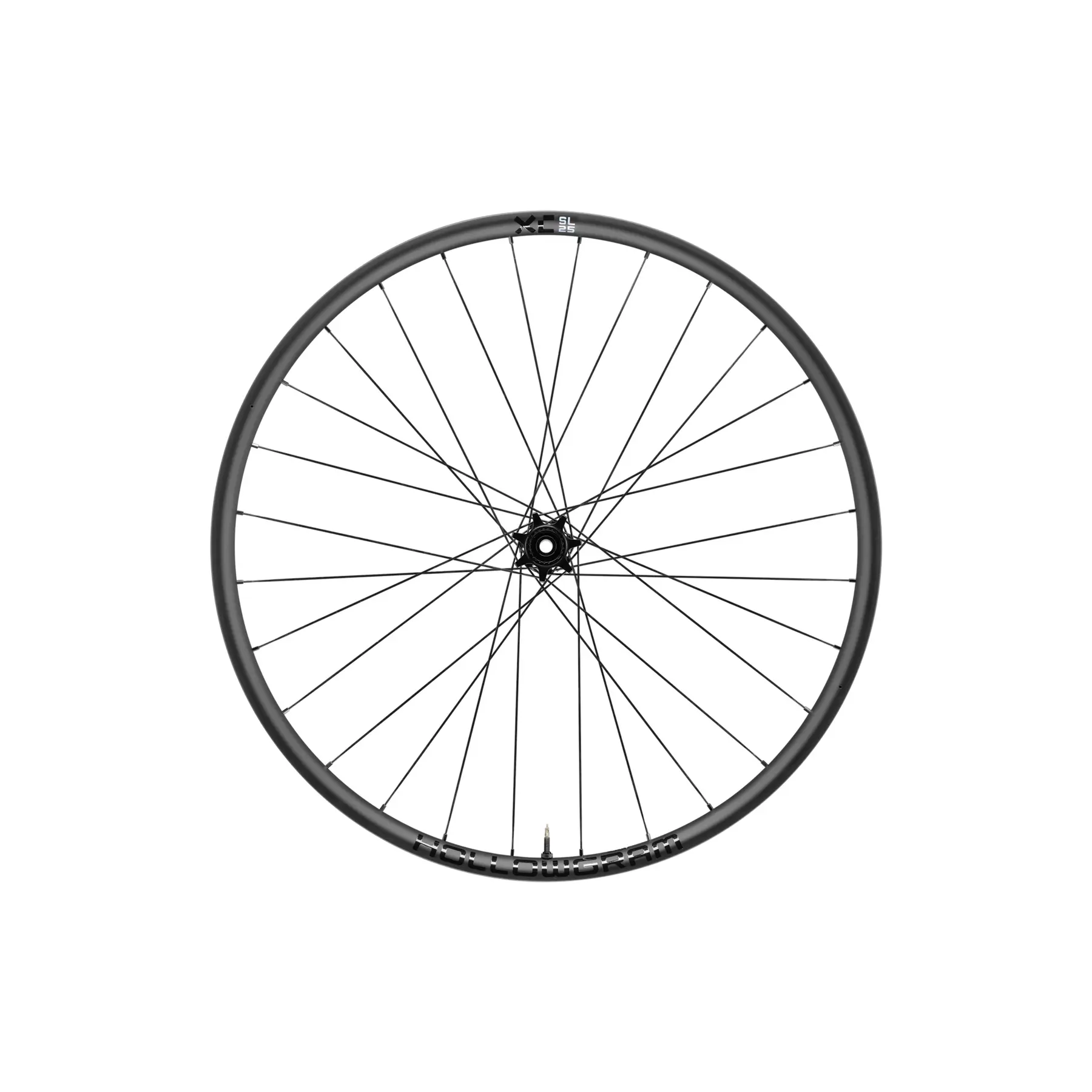 Achterwiel Cannondale HollowGram XC-SL 25 MicroSpline