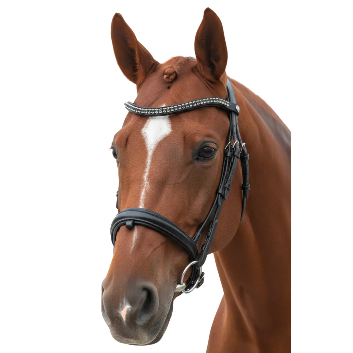 Bridon équitation muserolle combinée Canter Totalis