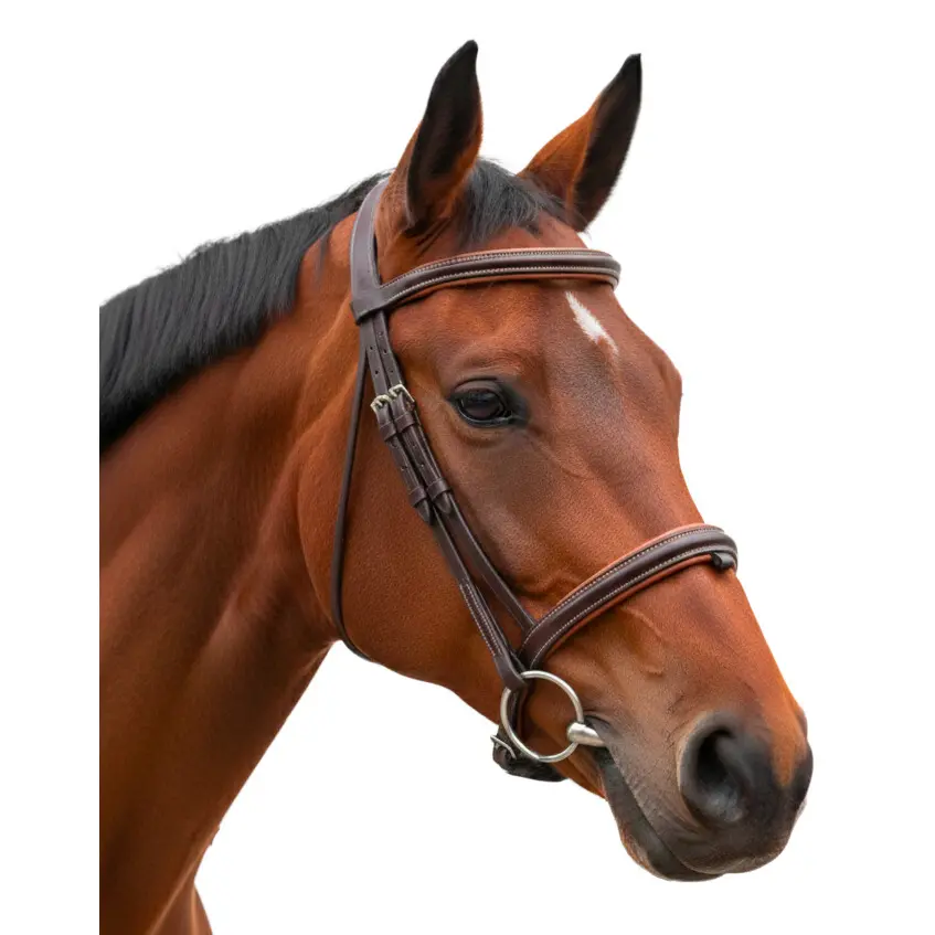 Bridon équitation muserolle combinée 1/2 rond Canter Vagabond