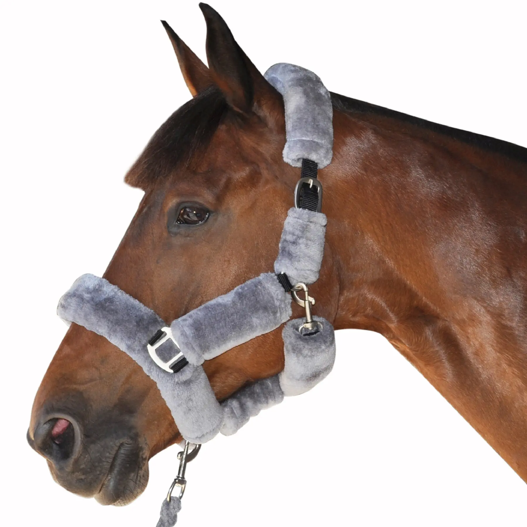 Comparer les prix de Licol de transport pour cheval Canter