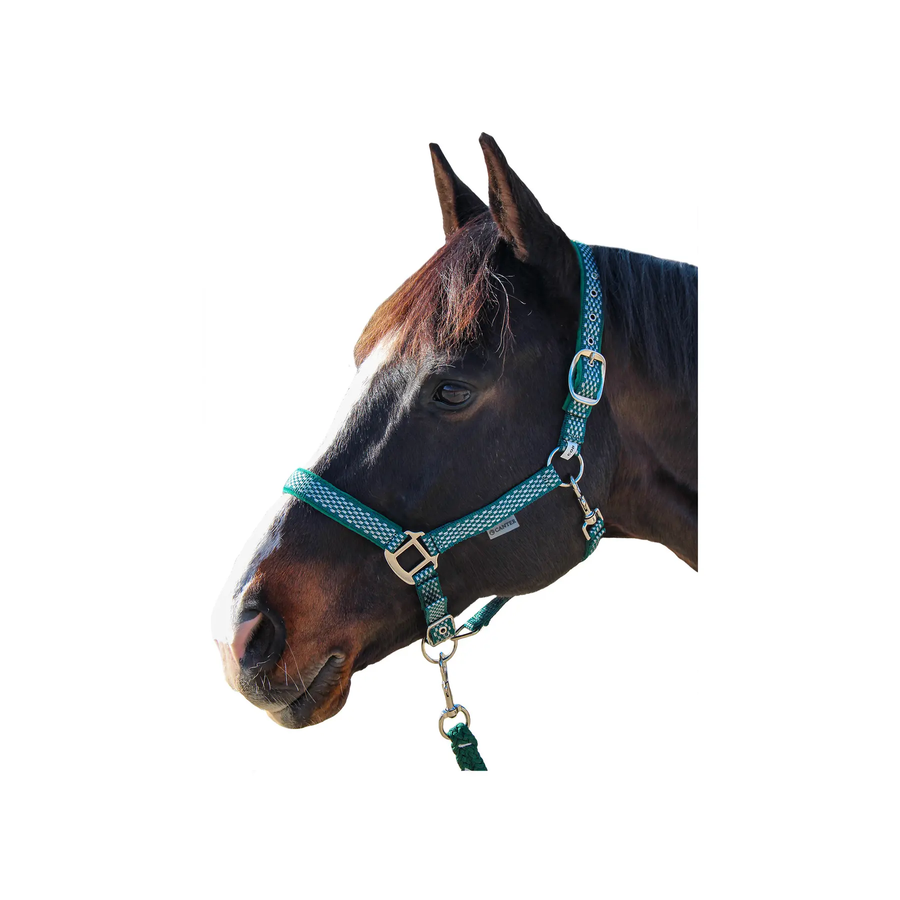 Meilleurs prix pour Ensemble licol et longe pour cheval Canter Sonoma