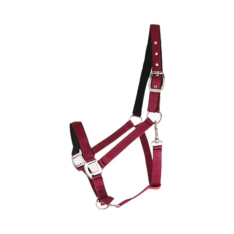 Canter Rouge Nylon Lined Halter For Horses