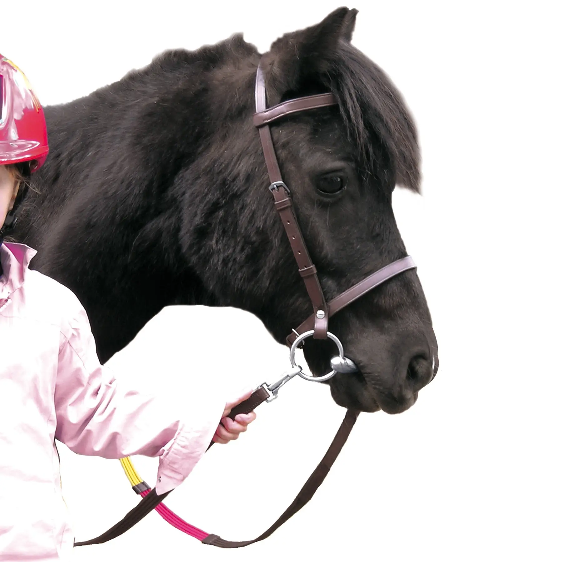 Comparer les prix de Bridons équitation Canter Club