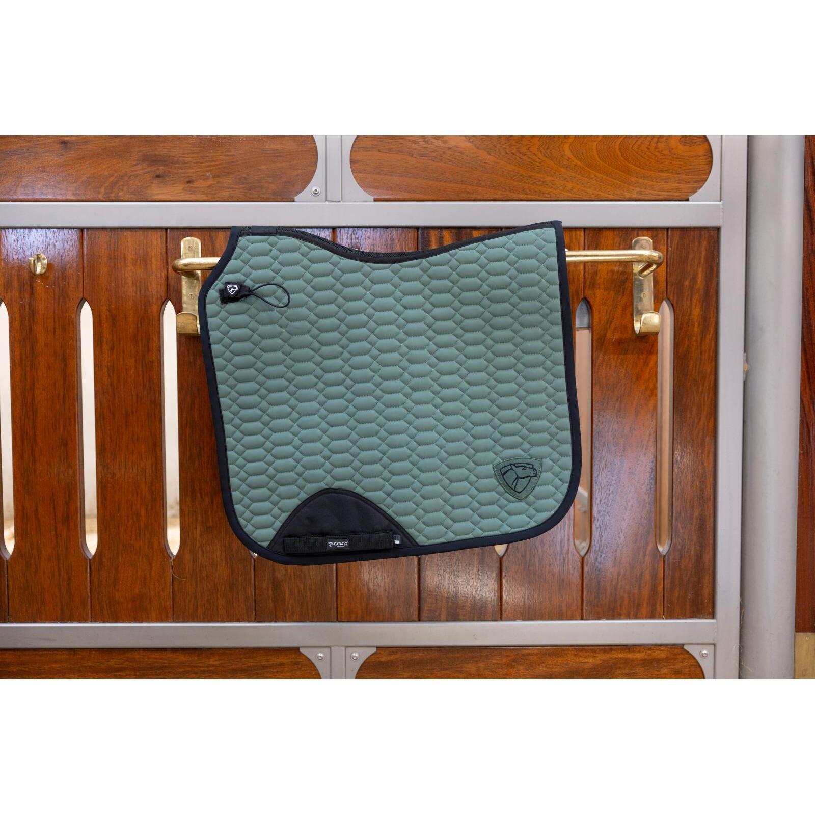 product/c/a/catago-30009060118-duck-green-2.jpg