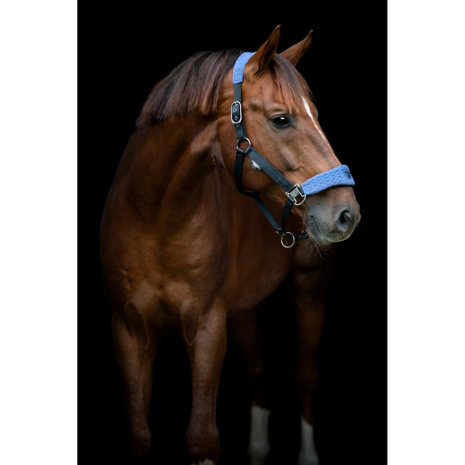 Cavezza Catago FIR-Tech Grand