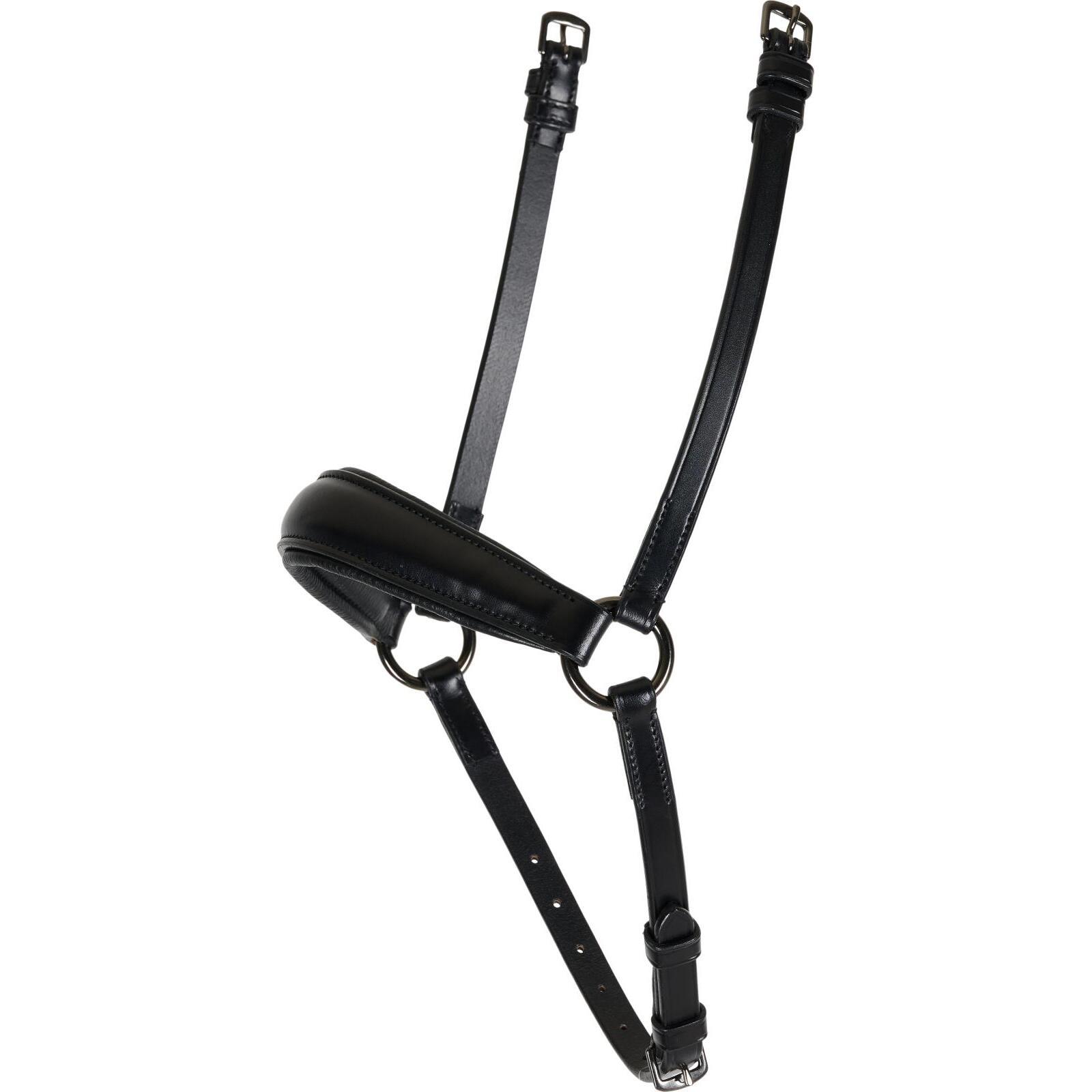 Muserolle incrociata per cavallo islandese Catago