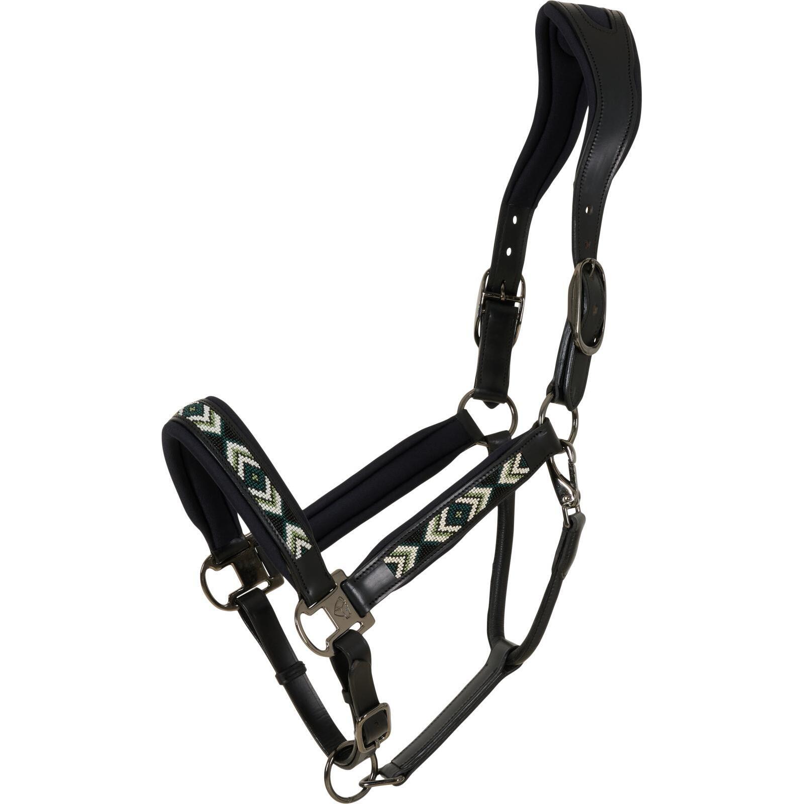 Cavezza in cuoio Catago Vanamo